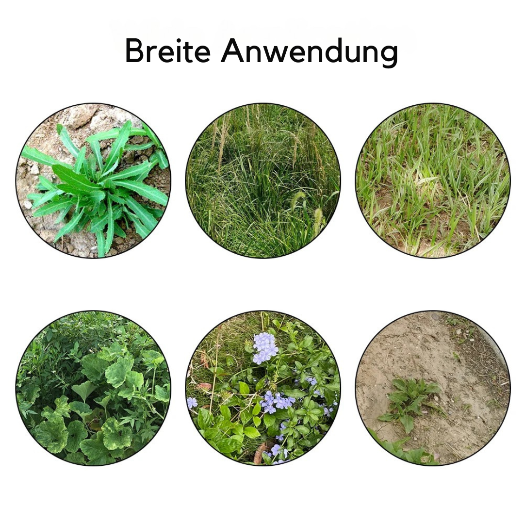 RootRaptor™ – Unkrautentferner mit 4-Krallen-Kopf