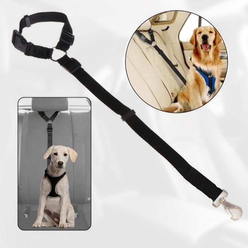 StayPaw™ – Vielseitige Verstellbare Hundeleine