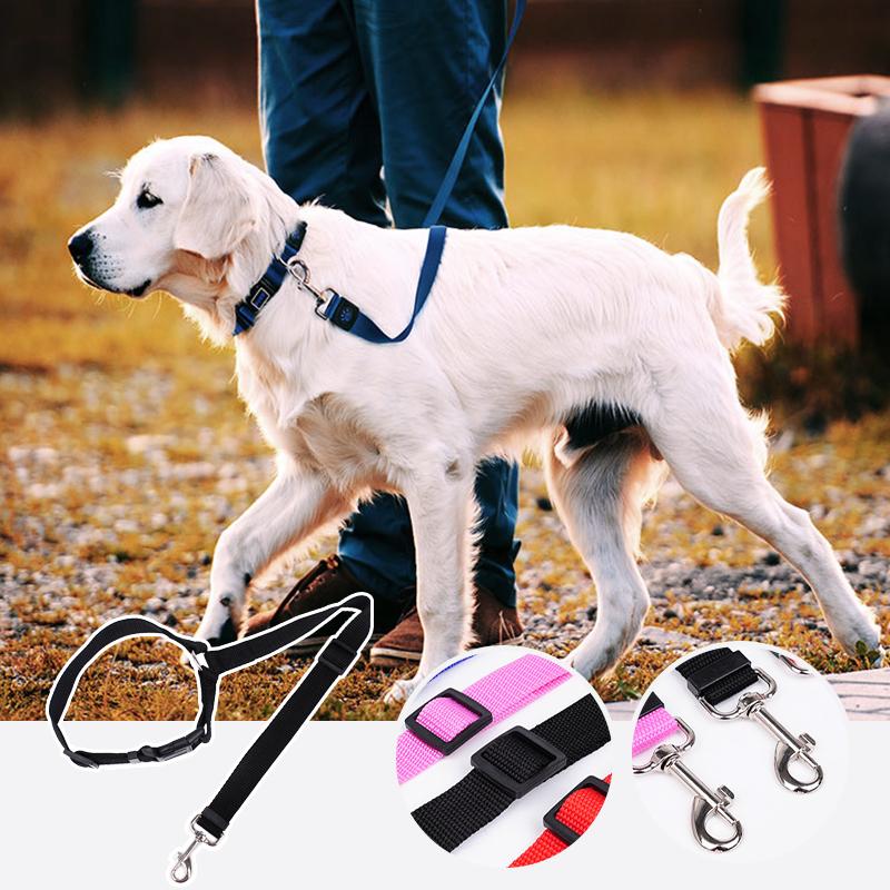 StayPaw™ – Vielseitige Verstellbare Hundeleine