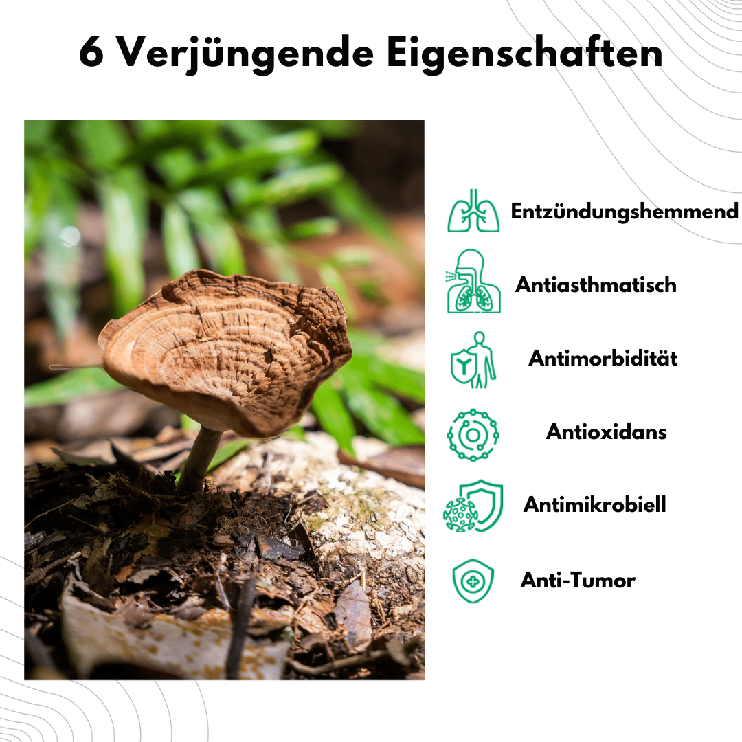 AirNatura™ – Natürliches, tiefes Atmen