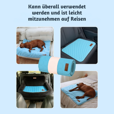 ChillPaws™ – Sofort Kühlende Hundematte