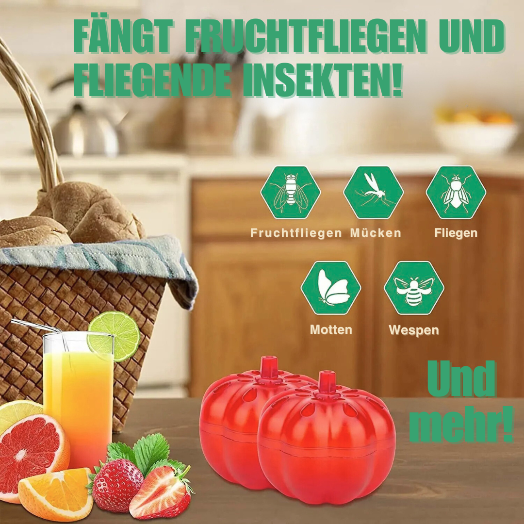 FlyFree™ – Ungiftige Fruchtfliegenfalle für Kürbisse