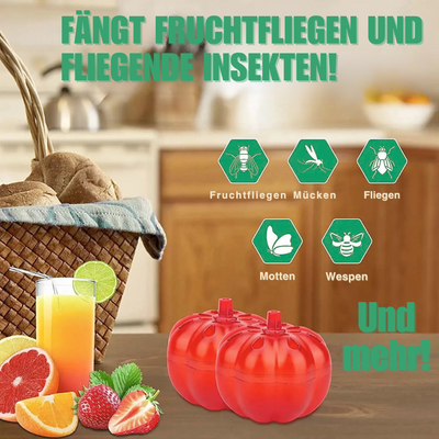 FlyFree™ – Ungiftige Fruchtfliegenfalle für Kürbisse