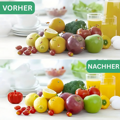 FlyFree™ – Ungiftige Fruchtfliegenfalle für Kürbisse