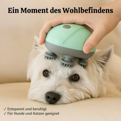 FurHaven™ – Kabelloser Stresslindernder Haustier-Massager