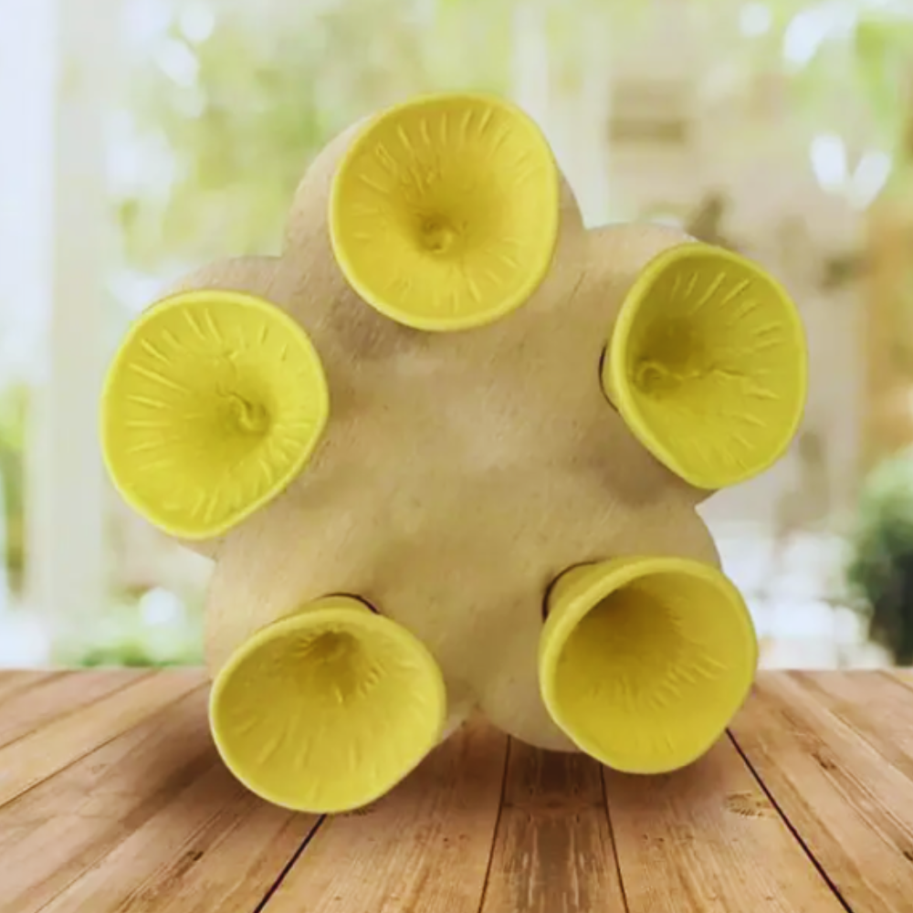 Buzzlet™ – Von Blumen inspirierte Wasserquelle für Bestäuber