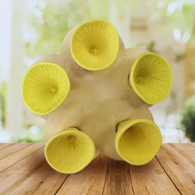 Buzzlet™ – Von Blumen inspirierte Wasserquelle für Bestäuber