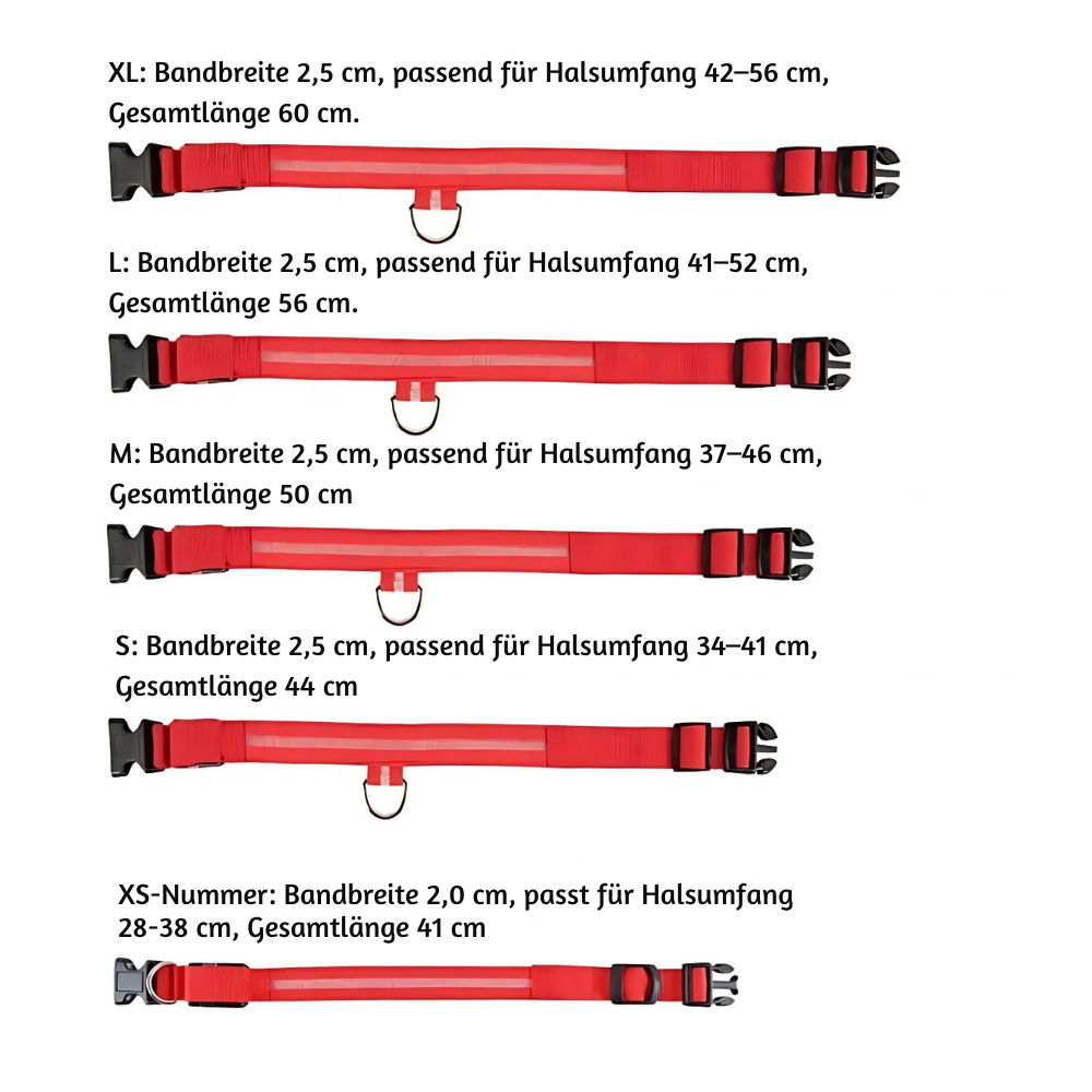 NightPup™ – LED Sicherheits-Leuchthalsband für Hunde