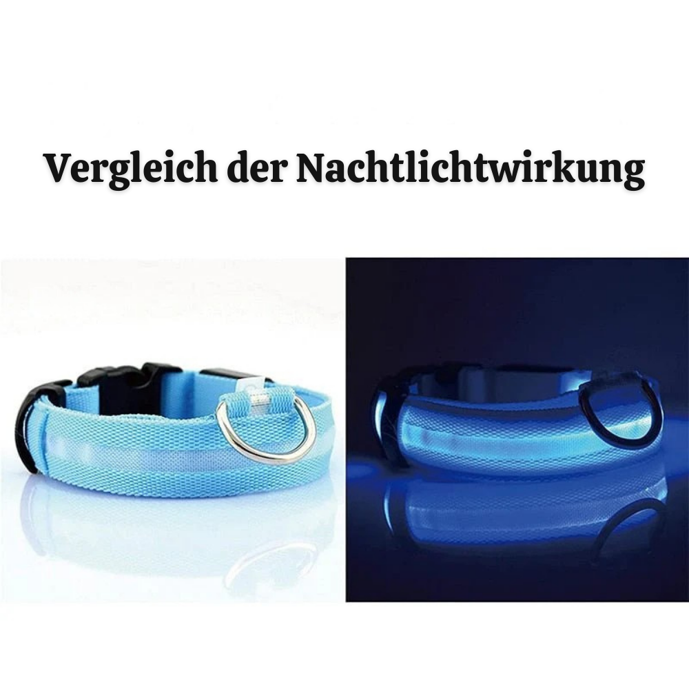 NightPup™ – LED Sicherheits-Leuchthalsband für Hunde