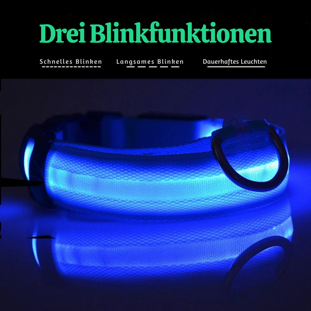 NightPup™ – LED Sicherheits-Leuchthalsband für Hunde