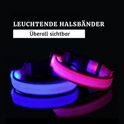 NightPup™ – LED Sicherheits-Leuchthalsband für Hunde