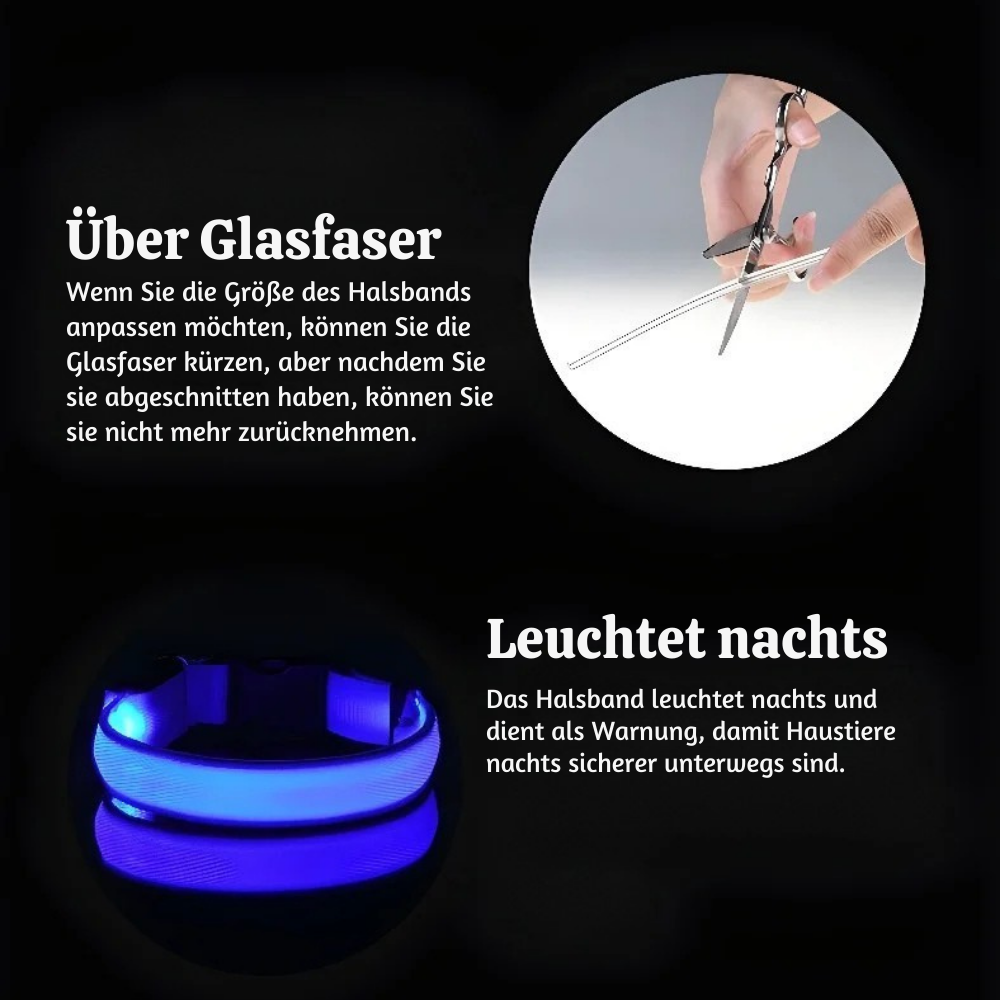 NightPup™ – LED Sicherheits-Leuchthalsband für Hunde