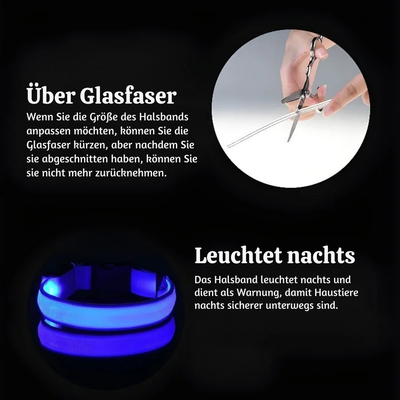 NightPup™ – LED Sicherheits-Leuchthalsband für Hunde