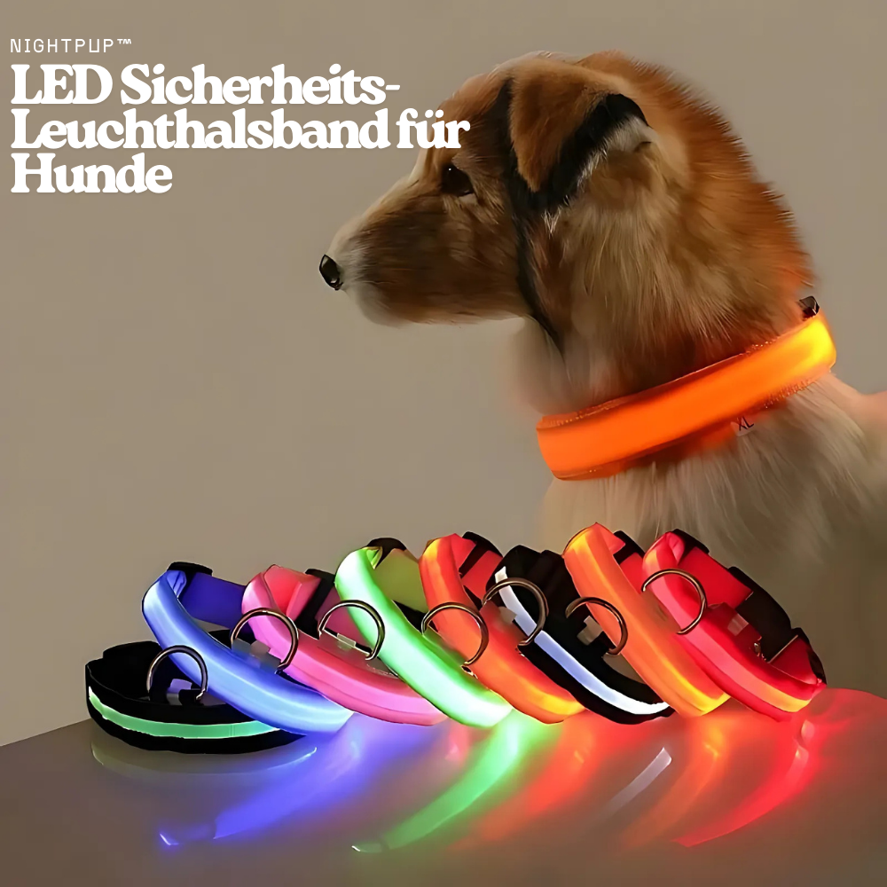 NightPup™ – LED Sicherheits-Leuchthalsband für Hunde