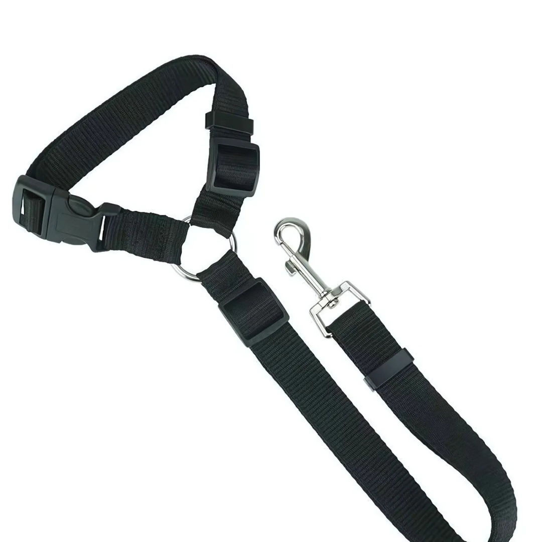 StayPaw™ – Vielseitige Verstellbare Hundeleine