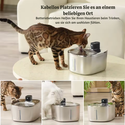 PurrFlow™ – Kabelloser Automatischer Katzenbrunnen