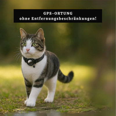 PurrTrack™ – Intelligenter GPS-Haustier-Tracker