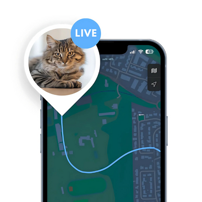 PurrTrack™ – Intelligenter GPS-Haustier-Tracker