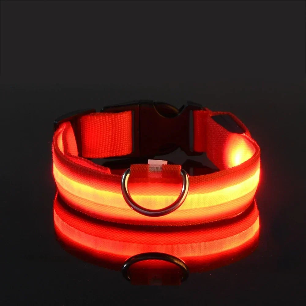 NightPup™ – LED Sicherheits-Leuchthalsband für Hunde