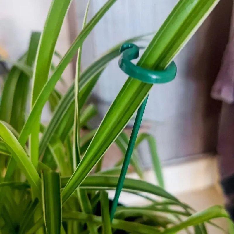 PlantGuard™ - 10 Stück langlebige Pflanzenstützklammern
