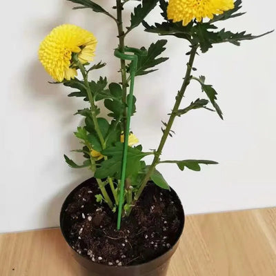 PlantGuard™ - 10 Stück langlebige Pflanzenstützklammern