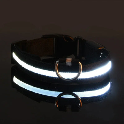 NightPup™ – LED Sicherheits-Leuchthalsband für Hunde