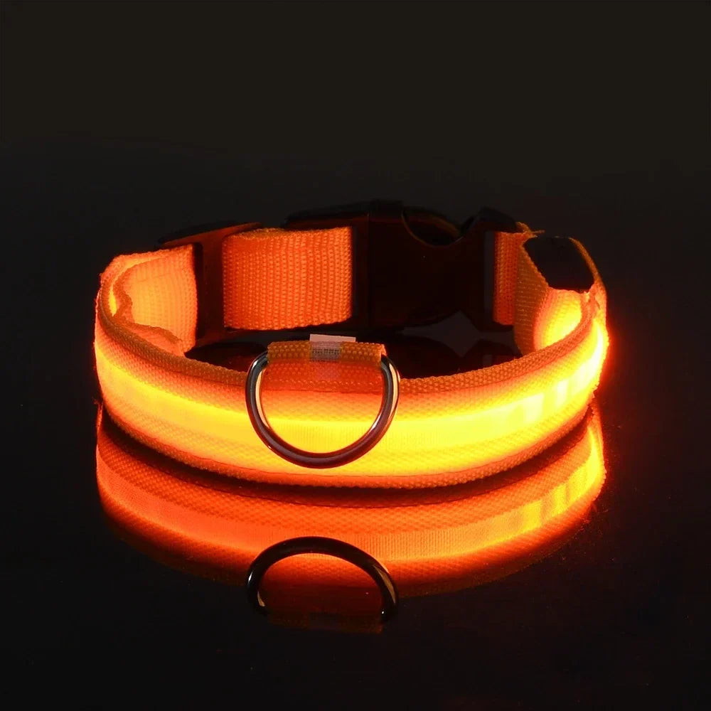 NightPup™ – LED Sicherheits-Leuchthalsband für Hunde