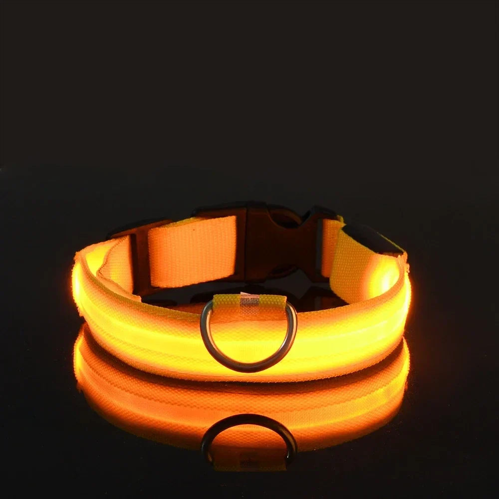 NightPup™ – LED Sicherheits-Leuchthalsband für Hunde