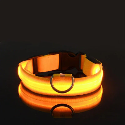 NightPup™ – LED Sicherheits-Leuchthalsband für Hunde