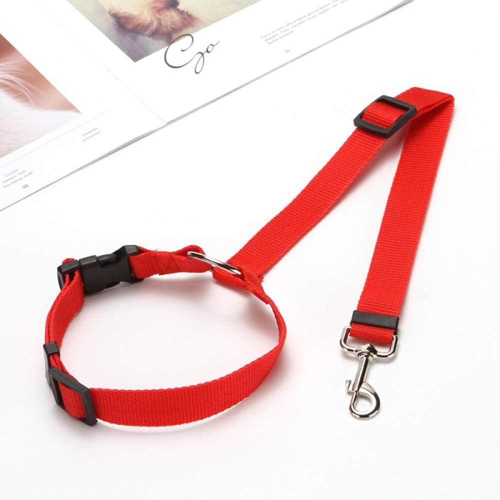 StayPaw™ – Vielseitige Verstellbare Hundeleine