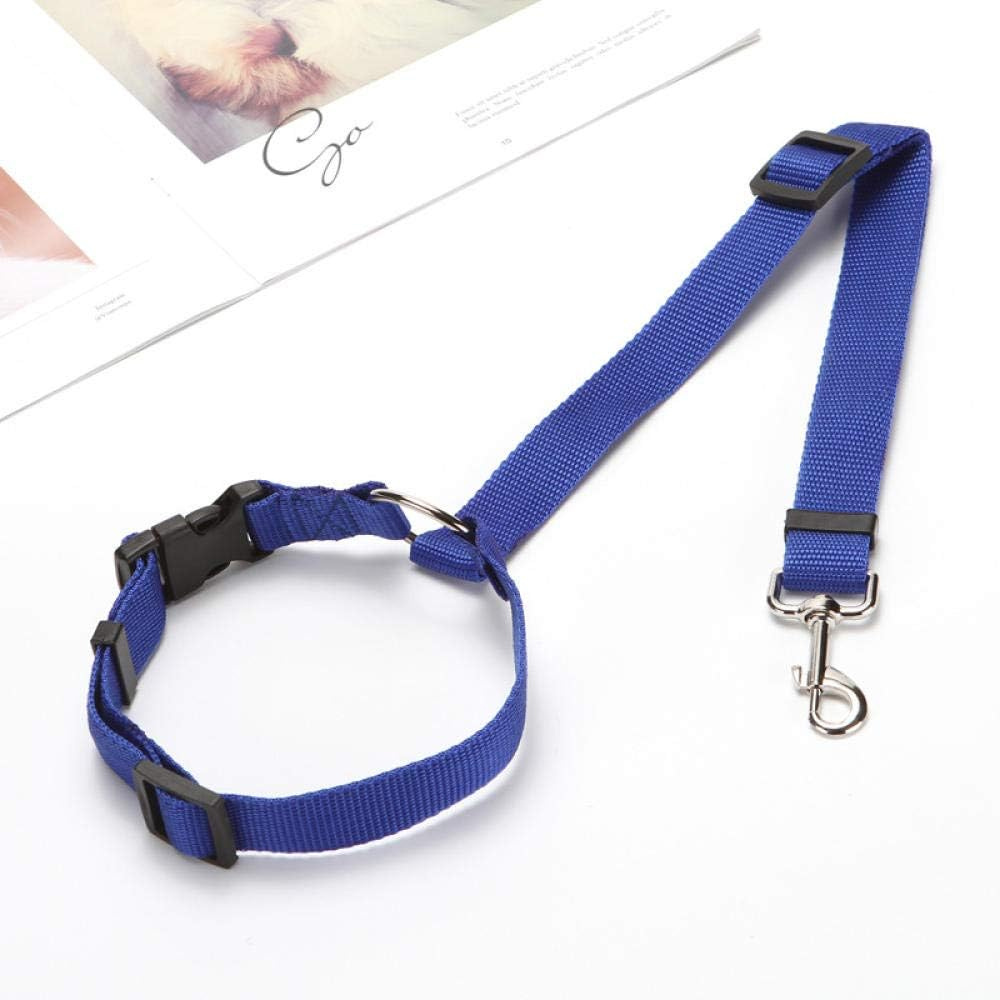 StayPaw™ – Vielseitige Verstellbare Hundeleine