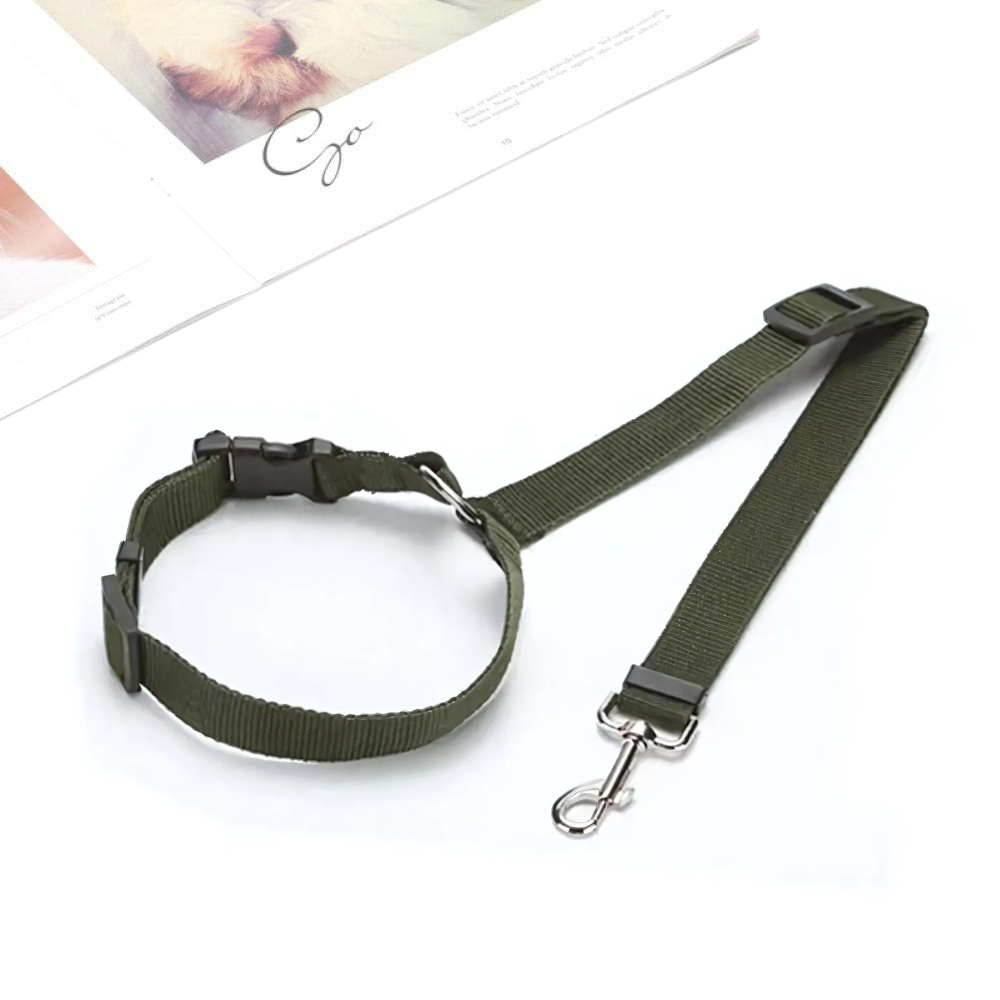 StayPaw™ – Vielseitige Verstellbare Hundeleine