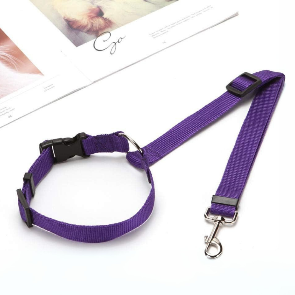 StayPaw™ – Vielseitige Verstellbare Hundeleine