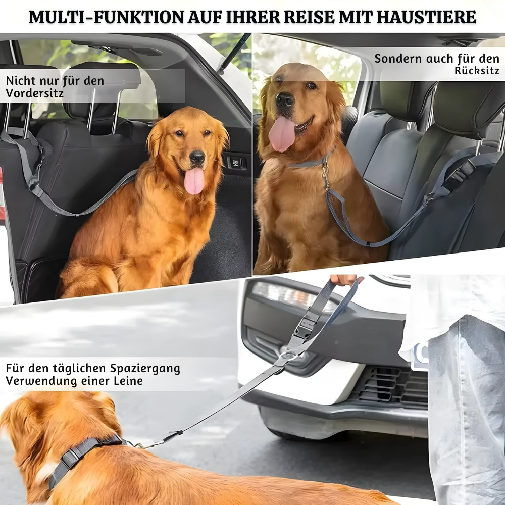 StayPaw™ – Vielseitige Verstellbare Hundeleine