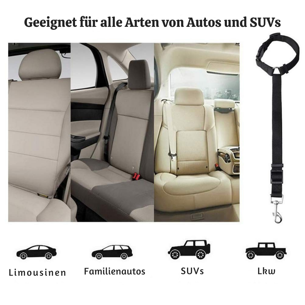 StayPaw™ – Vielseitige Verstellbare Hundeleine