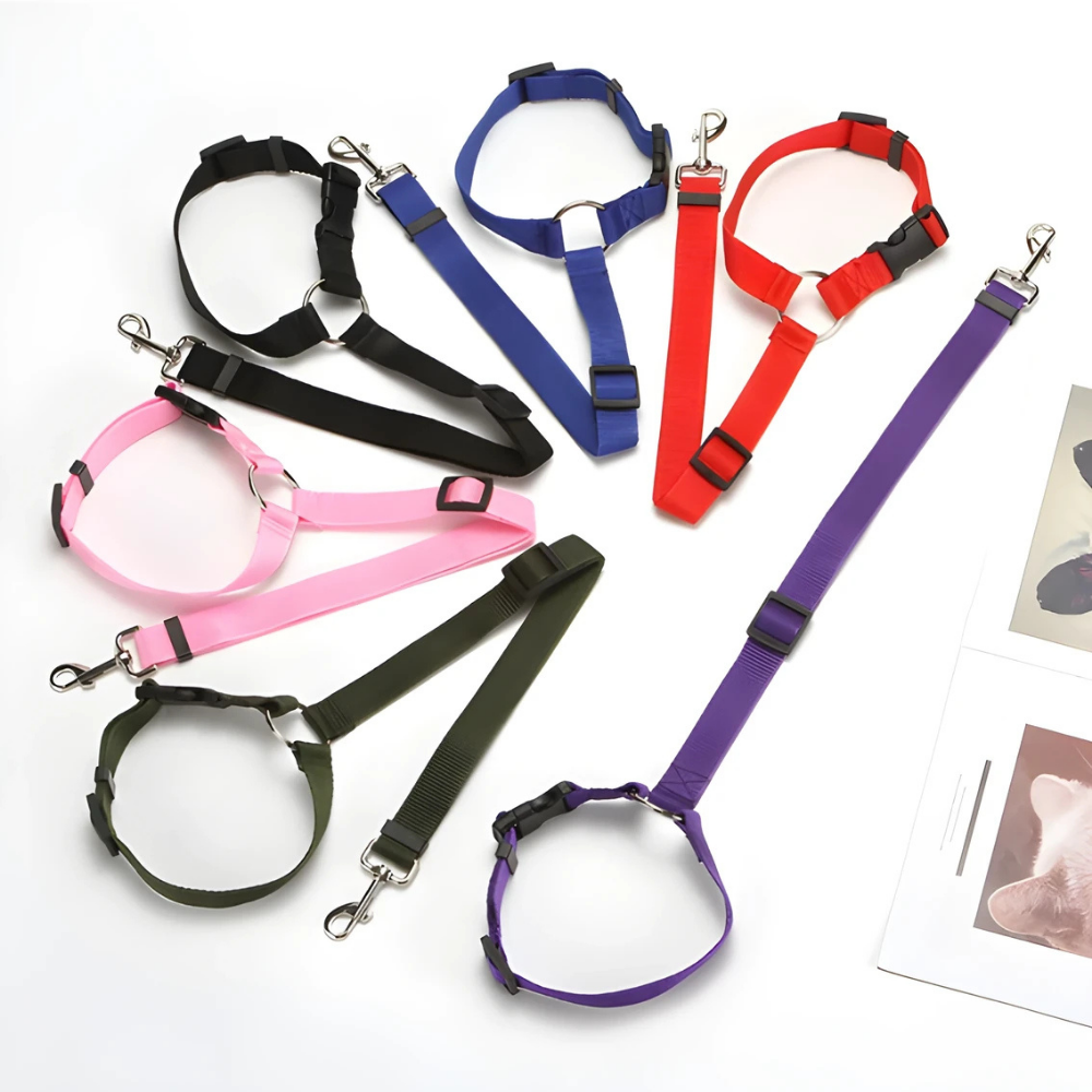 StayPaw™ – Vielseitige Verstellbare Hundeleine