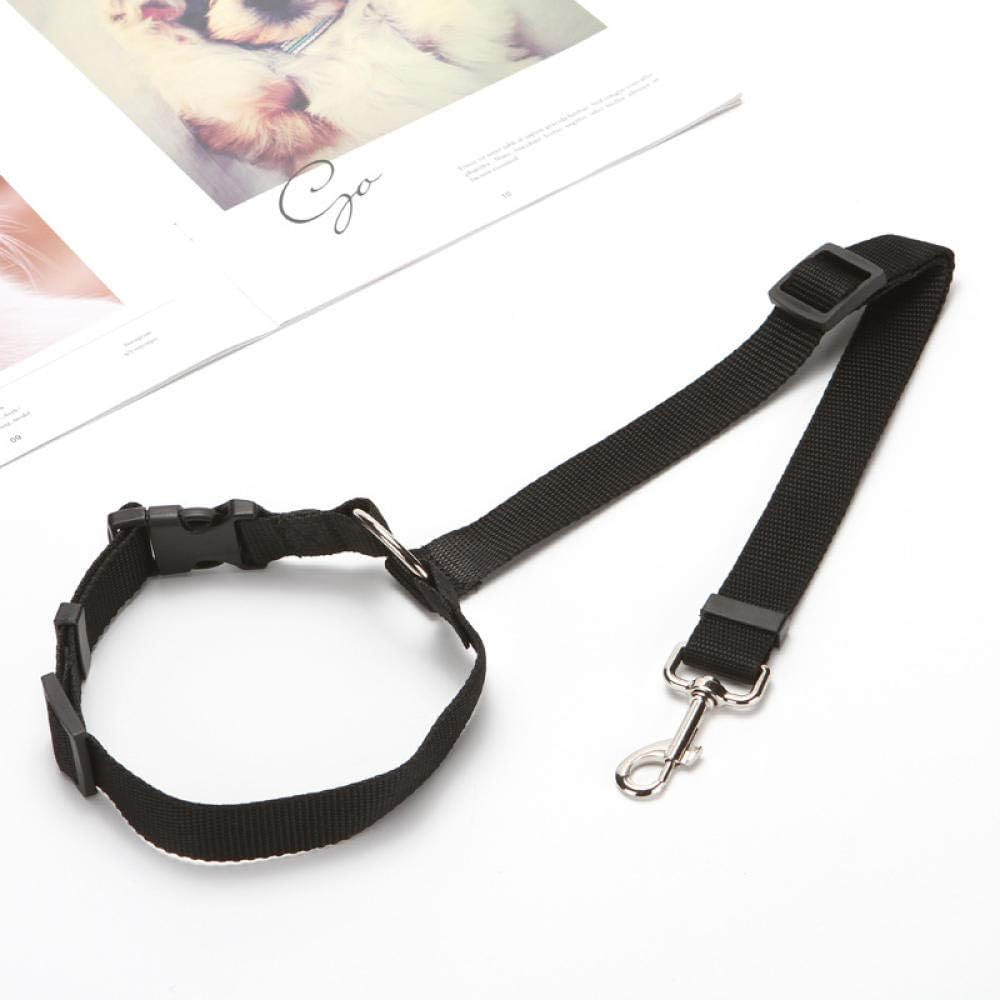 StayPaw™ – Vielseitige Verstellbare Hundeleine