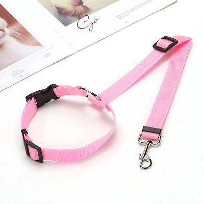 StayPaw™ – Vielseitige Verstellbare Hundeleine