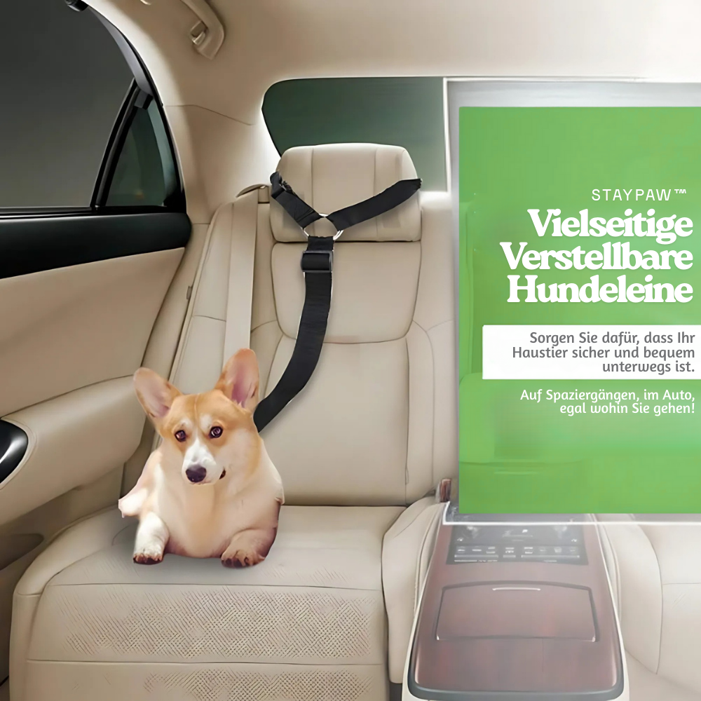 StayPaw™ – Vielseitige Verstellbare Hundeleine
