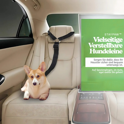 StayPaw™ – Vielseitige Verstellbare Hundeleine