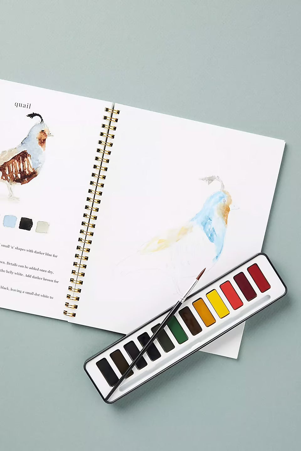 ZenBrush™ – Kreatives Therapie-Malbuch