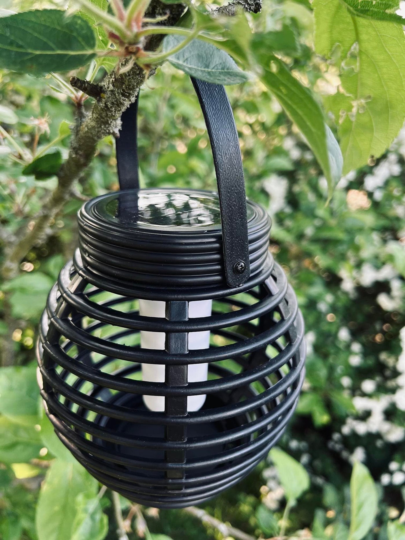 Lucent™ – Elegante Solarlaterne für den Außenbereich