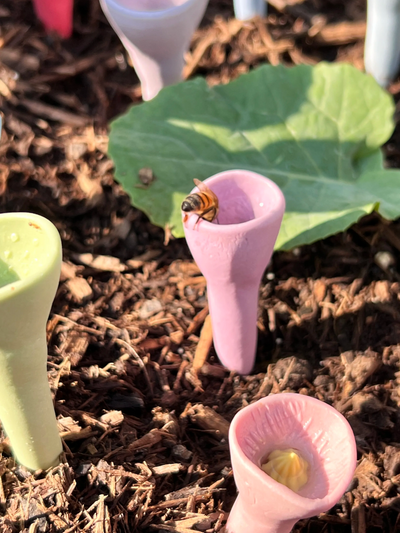 Buzzlet™ – Von Blumen inspirierte Wasserquelle für Bestäuber
