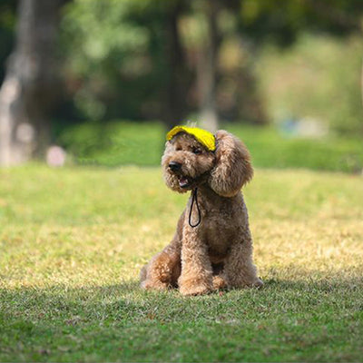 PawShade™ – Verstellbarer Sonnenschutzhut für Hunde