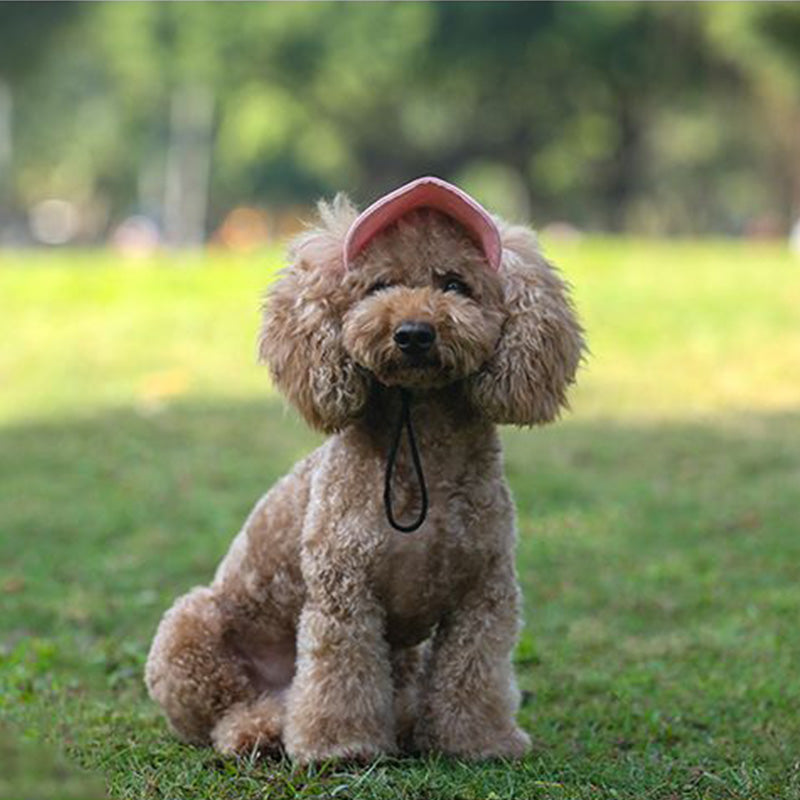 PawShade™ – Verstellbarer Sonnenschutzhut für Hunde